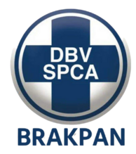 brakpanspca.co.za